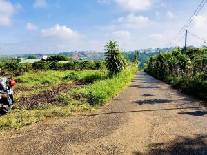 Đất thổ cư 2 mặt tiền hẻm 123 Mạc Đĩnh Chi Phường 2 Bảo Lộc