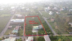 Bán vườn trung tâm Bảo Lộc hẻm 82 Nguyễn Tri Phương Lộc Tiến