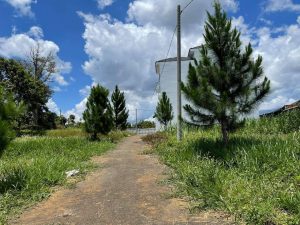 Đất nền giá rẻ Lộc An Bảo Lộc