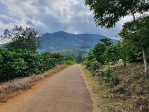 Đất nền thổ cư 2 mặt tiền Chi Lăng Bảo Lâm