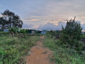 1,1 ha vườn cây ăn trái mặt tiền đường Xuân Diệu Lộc Châu Bảo Lộc