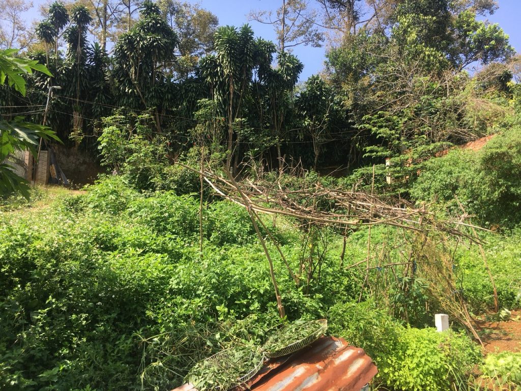 16x26 Full thổ cư hẻm 88 Quang Trung Phường 2 Bảo Lộc