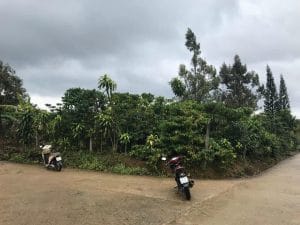 Đất nền biệt thự 2 mặt tiền đường nhựa hẻm Quốc lộ 20 Lộc Nga Bảo Lộc