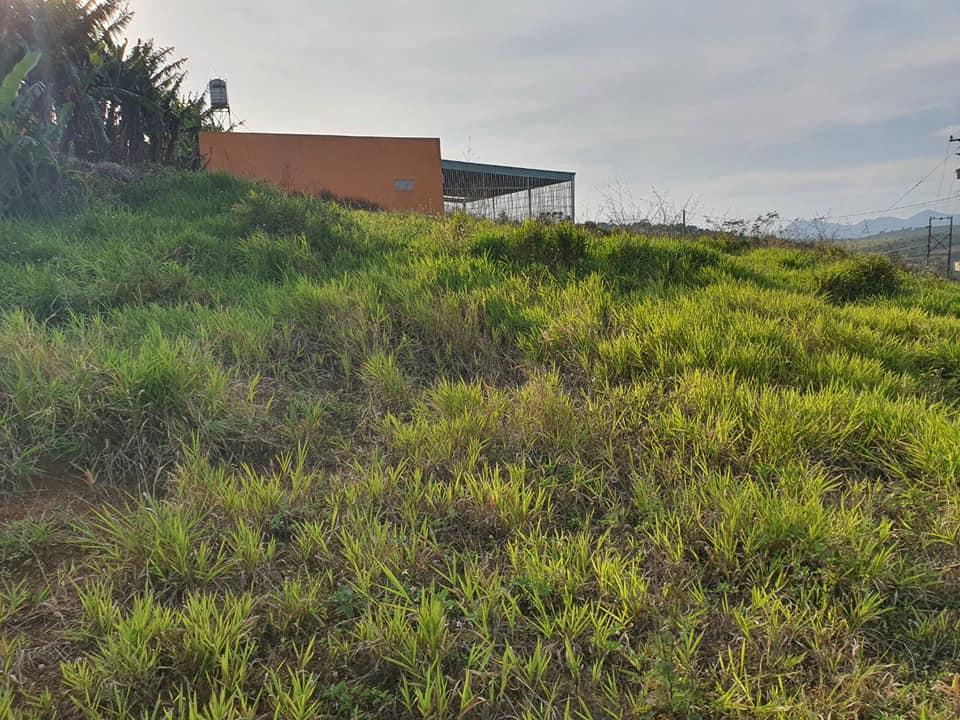 Đất nền thổ cư 2 mặt tiền Lý Thái Tổ DamBri Bảo Lộc Lâm Đồng