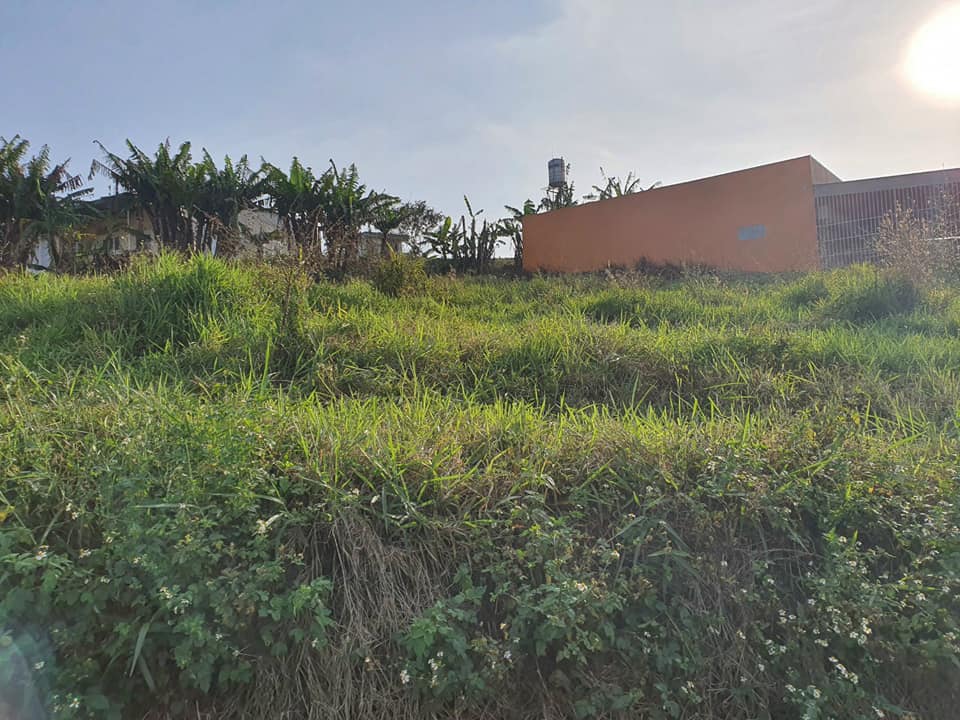 Đất nền thổ cư 2 mặt tiền Lý Thái Tổ DamBri Bảo Lộc Lâm Đồng