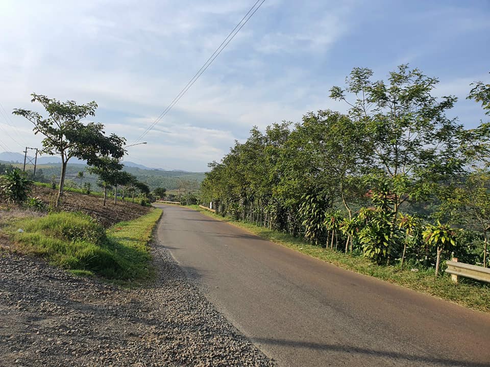 Đất nền thổ cư 2 mặt tiền Lý Thái Tổ DamBri Bảo Lộc Lâm Đồng