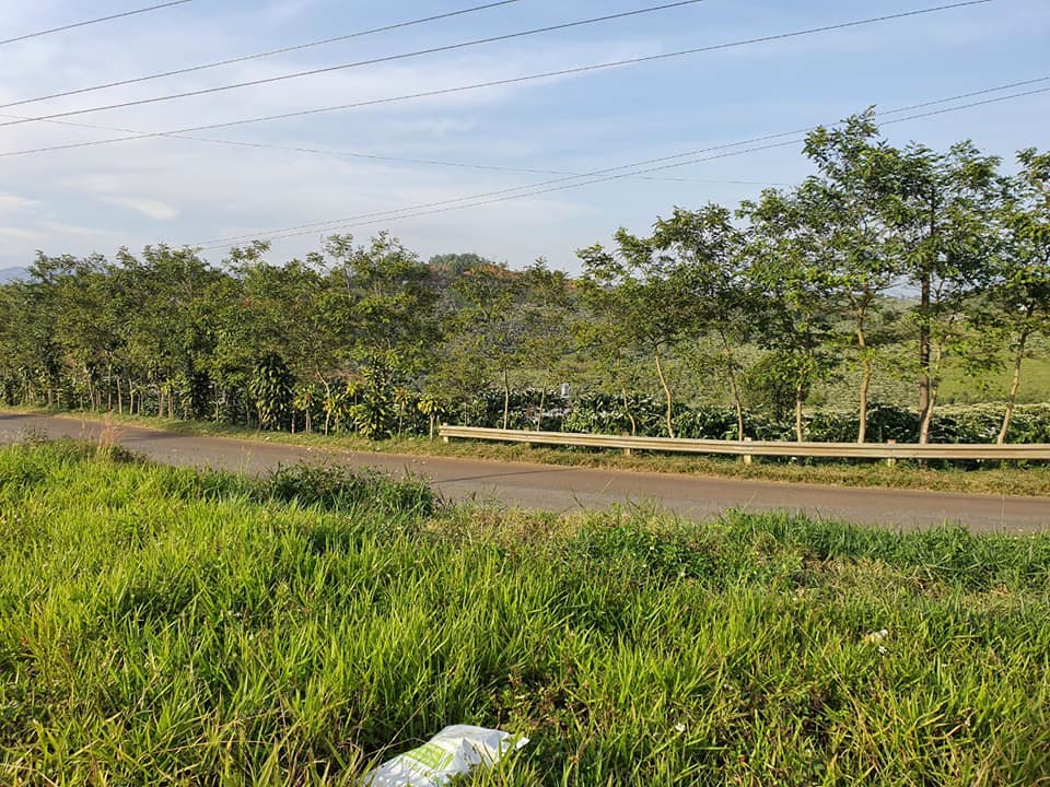 Đất nền thổ cư 2 mặt tiền Lý Thái Tổ DamBri Bảo Lộc Lâm Đồng