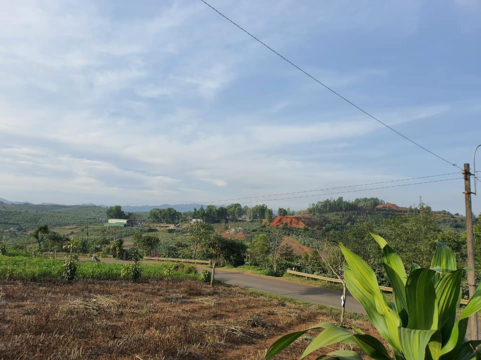 Đất nền thổ cư 2 mặt tiền Lý Thái Tổ DamBri Bảo Lộc Lâm Đồng