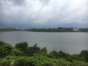 Bán hơn 2 sào vườn chè cành giáp mặt Hồ Bảo Lâm Lộc Thắng Bảo Lâm Lâm Đồng