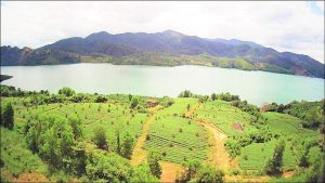 23ha Đất giáp hồ Ngọc Lộc Tân Bảo Lâm