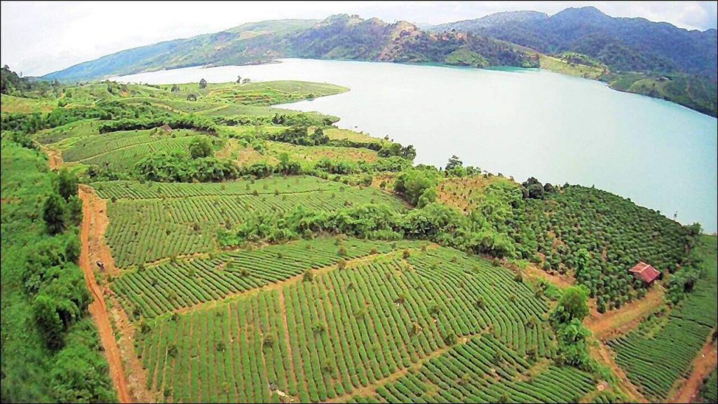 23ha Đất giáp hồ Ngọc Lộc Tân Bảo Lâm
