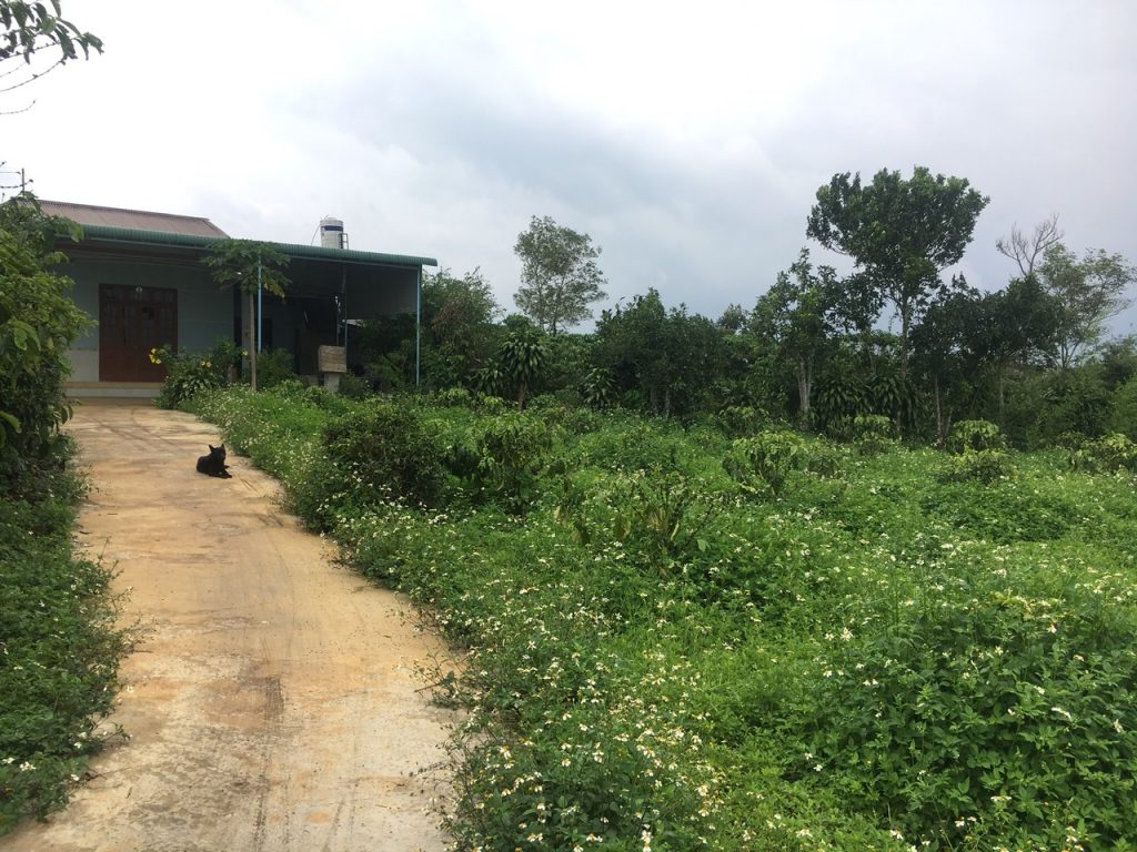 Bán vườn 7260m2 view hồ Bảo Lâm Lộc Thắng Bảo Lâm Lâm Đồng