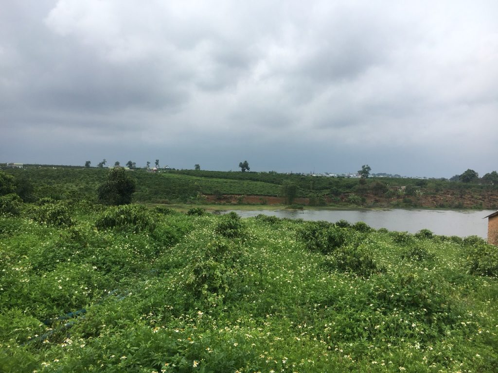 Bán vườn 7260m2 view hồ Bảo Lâm Lộc Thắng Bảo Lâm Lâm Đồng