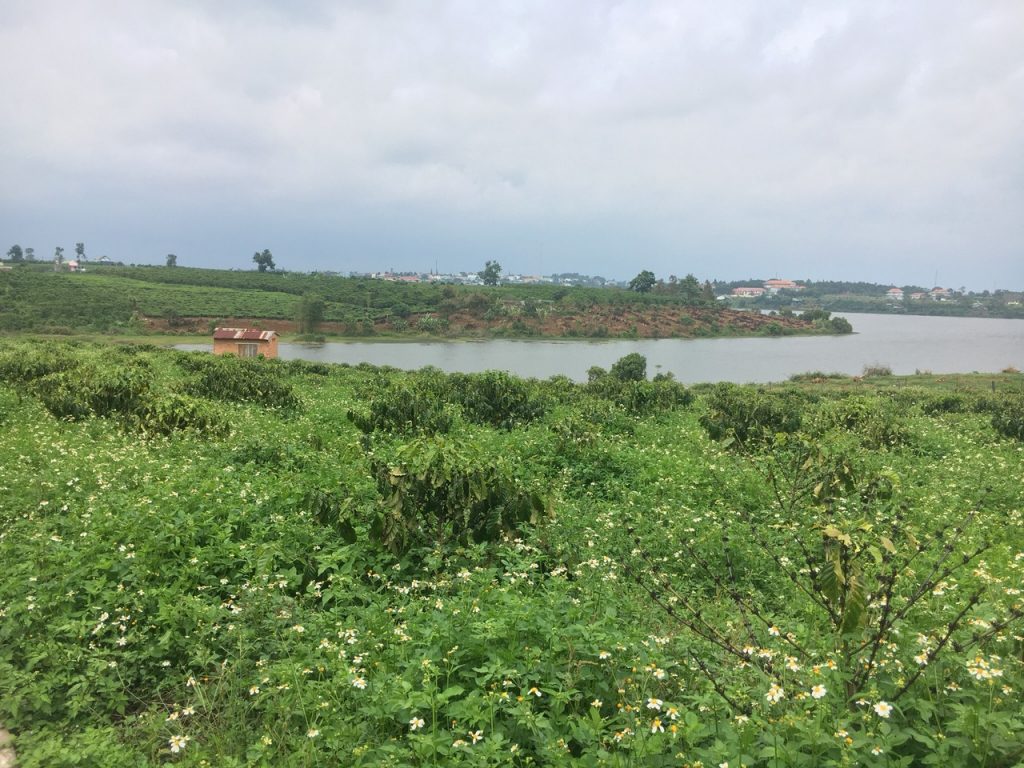 Bán vườn 7260m2 view hồ Bảo Lâm Lộc Thắng Bảo Lâm Lâm Đồng