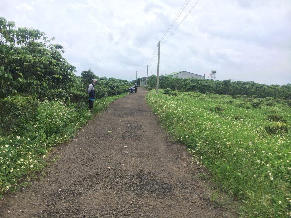 Bán vườn 7260m2 view hồ Bảo Lâm Lộc Thắng Bảo Lâm Lâm Đồng