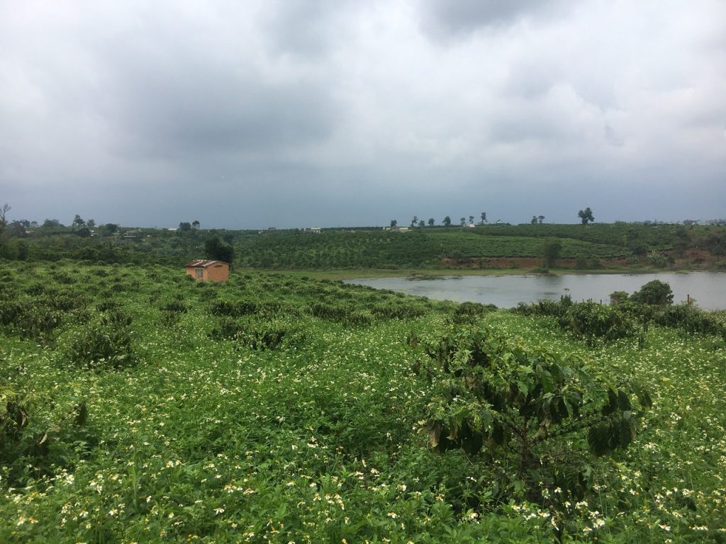 Bán vườn 7260m2 view hồ Bảo Lâm Lộc Thắng Bảo Lâm Lâm Đồng