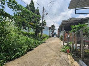 Bán căn nhà cấp 4 hẻm Mạc Đĩnh Chi Phường 2 Bảo Lộc Lâm Đồng