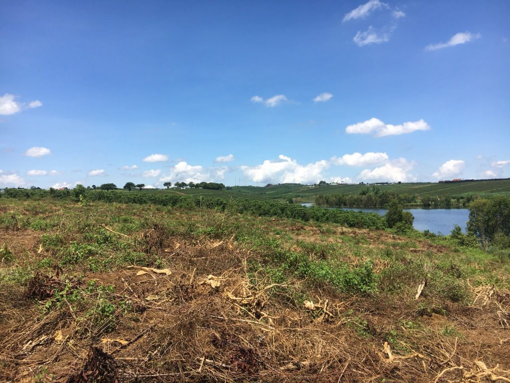 Bán 15.000 m2 (1,5 hecta) giáp hồ Cánh Bướm Lộc Thắng Bảo Lâm Lâm Đồng