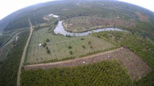 Bán 1,5 ha vườn trái cây đường nhựa lớn sau sông lớn tại Lộc Nga Bảo Lộc Lâm Đồng