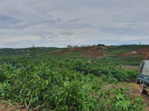 3,4 sao dat vuon cafe loc phat