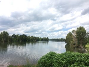 Bán 4 sào vườn cà phê giáp hồ Cánh Bướm Lộc Thắng Bảo Lâm Lâm Đồng