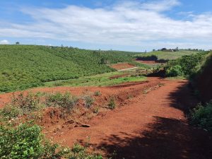 Bán 6 sào 3 hẻm Lý Thường Kiệt Phường Lộc Phát Bảo Lộc