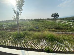 Đất nền biệt thự nghỉ dưỡng dự án 70 Dambri Bảo Lộc