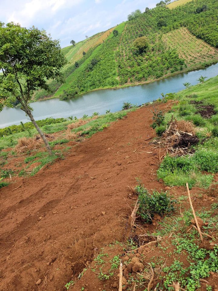 Bán 7,595m Đất Sát Hồ Lộc Tân Bảo Lâm Lâm Đồng