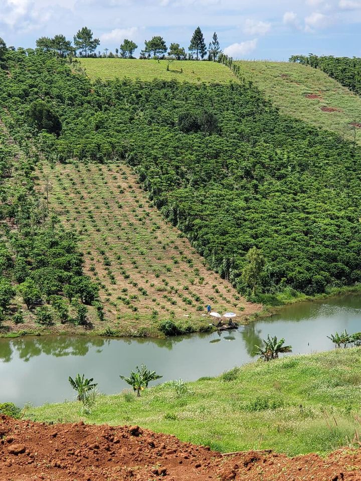 Bán 7,595m Đất Sát Hồ Lộc Tân Bảo Lâm Lâm Đồng