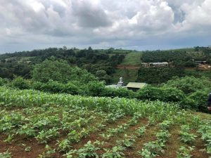 Đất nền mặt tiền đường Trần Quý Cáp Dambri Thành phố Bảo Lộc Lâm Đồng