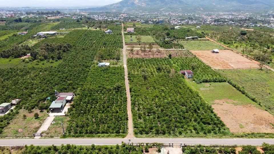 Đất nền thổ cư Hẻm Lê Thị Riêng Lộc Châu Thành phố Bảo Lộc Lâm Đồng
