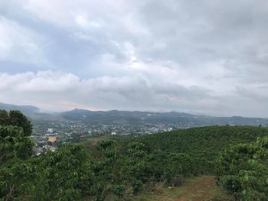 Bán 3,4 sào cà phê xen cây ăn trái View toàn Thành phố Bảo Lộc