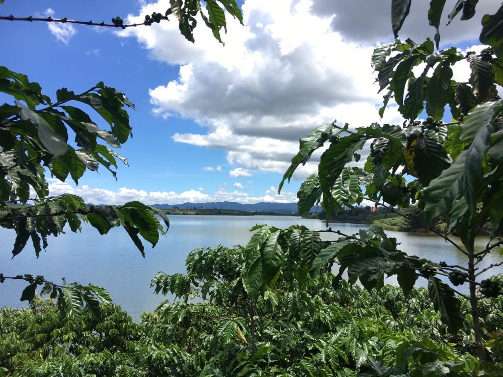 Bán 1,5 hecta giáp hồ Bảo Lâm ngay trung tâm thị trấn Lộc Thắng Huyện Bảo Lâm