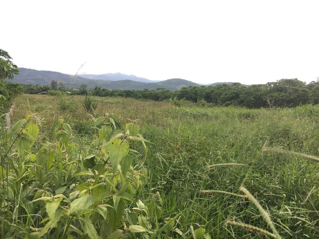 Bán 2,2 sào đất Xã Lộc Châu Bảo Lộc Lâm Đồng