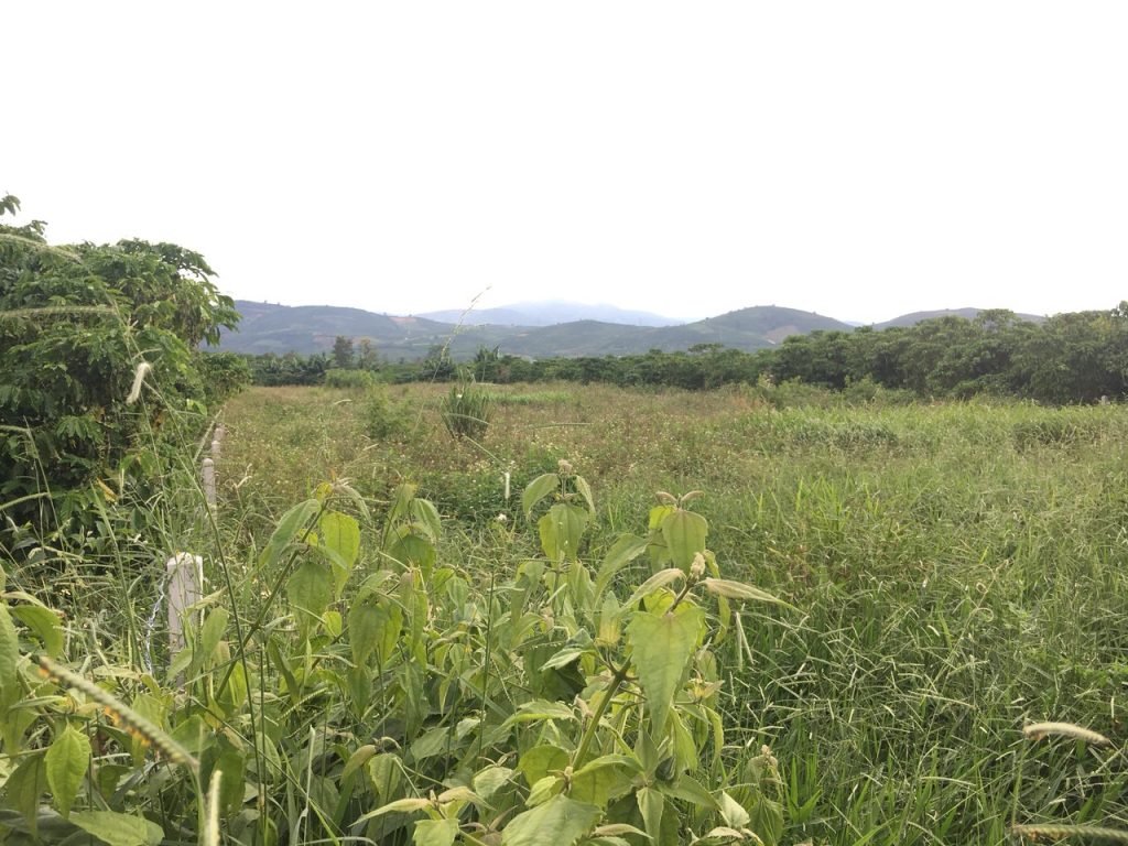 Bán 2,2 sào đất Xã Lộc Châu Bảo Lộc Lâm Đồng