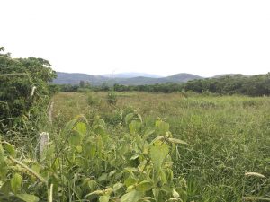 Bán 2,2 sào đất Xã Lộc Châu Bảo Lộc Lâm Đồng