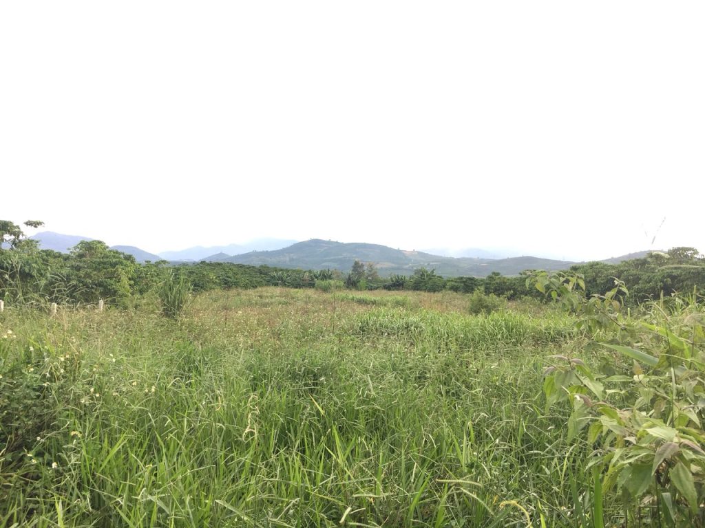 Bán 2,2 sào đất Xã Lộc Châu Bảo Lộc Lâm Đồng