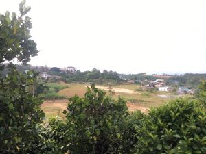 Bán 2,4 sào tại đường Xuân Diệu Xã Lộc Châu Bảo Lộc Lâm Đồng