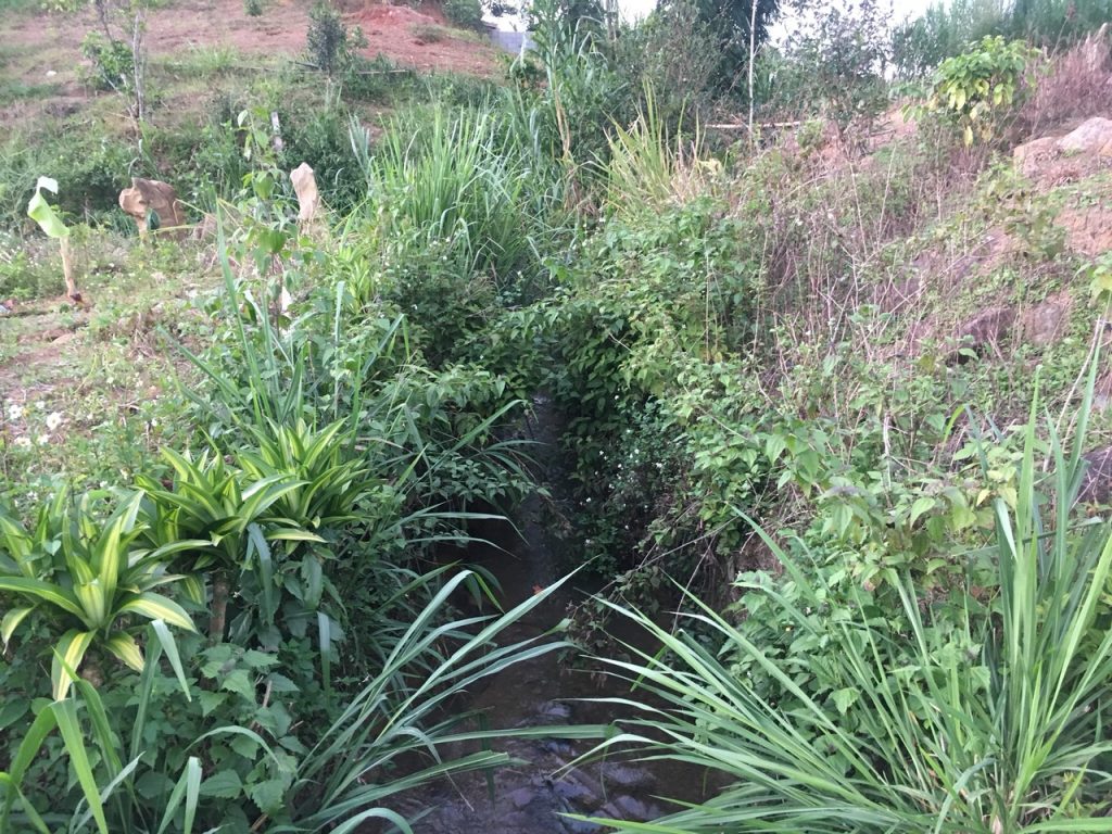 Bán 2,4 sào tại đường Xuân Diệu Xã Lộc Châu Bảo Lộc Lâm Đồng