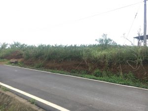 Cần bán 5 sào, 31m mặt tiền đường nhựa View hồ Mai Thành Bảo Lộc