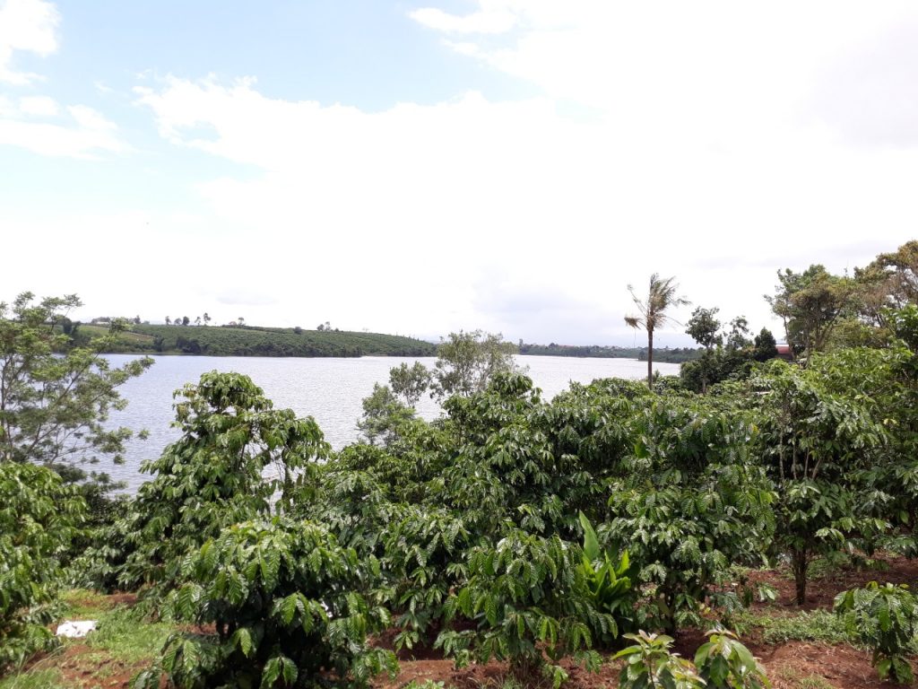 Bán 5,3 sào giáp hồ Bảo Lâm ngay trung tâm thị trấn Lộc Thắng Huyện Bảo Lâm