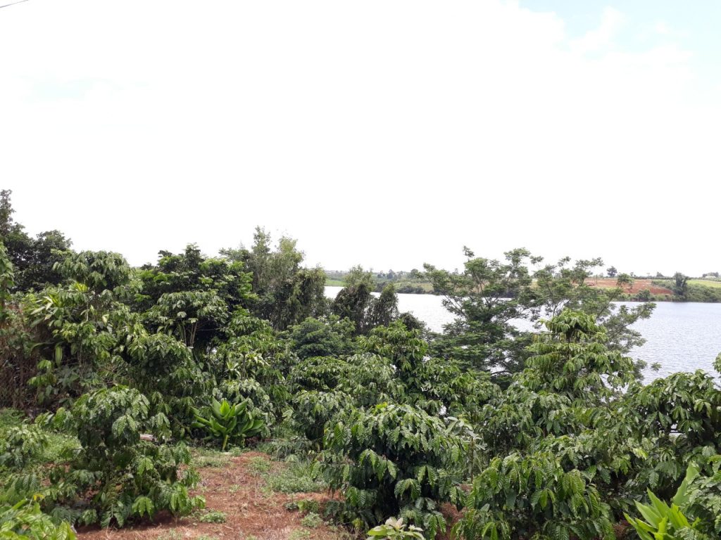 Bán 5,3 sào giáp hồ Bảo Lâm ngay trung tâm thị trấn Lộc Thắng Huyện Bảo Lâm