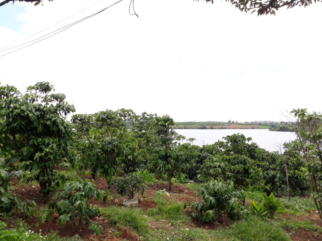 Bán 5,3 sào giáp hồ Bảo Lâm ngay trung tâm thị trấn Lộc Thắng Huyện Bảo Lâm