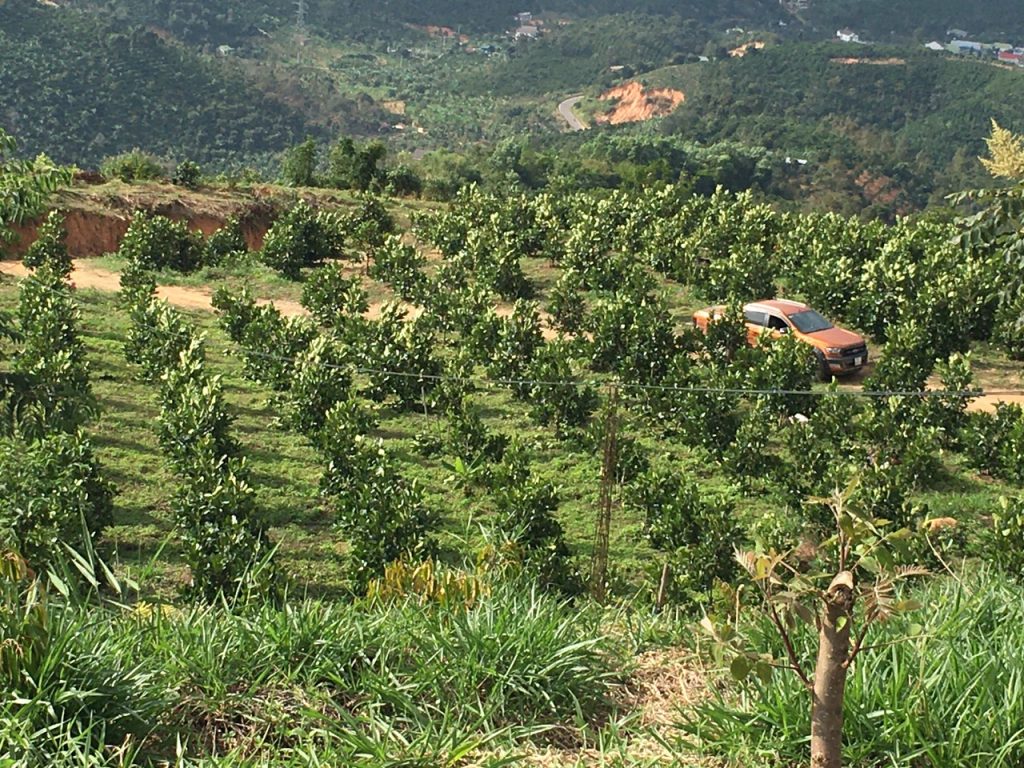 24ha Lộc nam. Có 420m mặt tiền quốc lộ 55 Lộc Nam Bảo Lâm Lâm Đồng