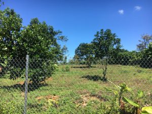 Đất nền thổ cư hẻm Lam Sơn Lộc Sơn Bảo Lộc Lâm Đồng