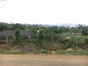 Đất nền thổ cư Mặt tiền đường Lê Quý Đôn Lộc Tiến Bảo Lộc