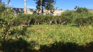 Đất nền thổ cư hẻm 142 Đường 1 Tháng 5 Bảo Lộc Lâm Đồng