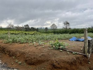 Bán lô đất thổ cư hẻm Võ Trường Toản Lộc Nga Bảo Lộc Lâm Đồng