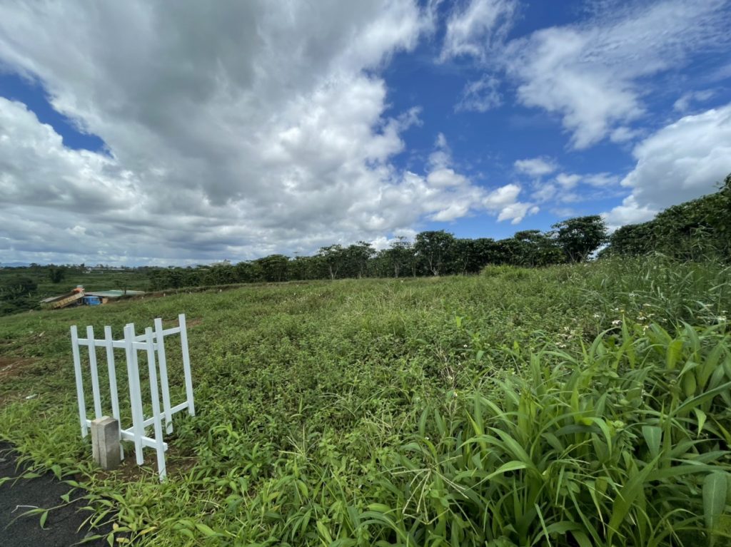 Dự án 42 lô đất nền RiChard đối diện Golden City Lộc Phát Bảo Lộc