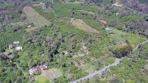 1 Hecta Chi Lăng Lộc Thành Bảo Lâm